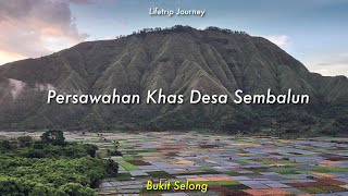 Jalan-jalan sekitar Sembalun, Lihat Persawahan Se-Keren ini | Bukit Selong Sembalun