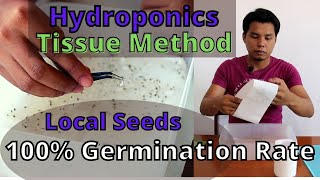 Hydroponics Tissue Method for 100% Germination