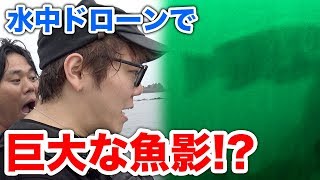 水中ドローンで海の中みたら巨大魚が!?