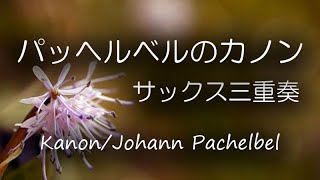 Kanon Pachelbel / Canon / パッヘルベルのカノン / サックス三重奏