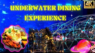 Underwater Dining Experience Aqua Gastronomy Ocean Restaurant South East Asia Aquarium RWS Singapore