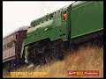 australian steam locomotive 3801 an epic struggle up young bank