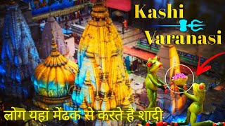 amazing facts varanasi || दुनिया का सबसे पुराना शहर काशी || kashi