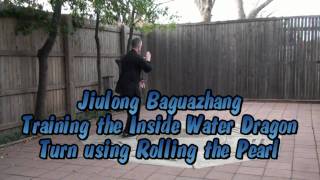 Baguazhang Jiulong:  Applications and Training: Water Dragon Turns