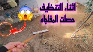 اول مره اشوف هالحاله عش الفنشات بارضية المحميه🤯