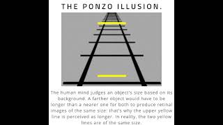 THE PONZO ILLUSION