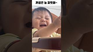 10개월 아기 최애 놀이 #까꿍 #까꿍놀이 #육아쇼츠 #라라라맘 #cutebaby #peekaboo