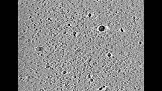 Single Particle Tomogram of Proteins in Nanodiscs