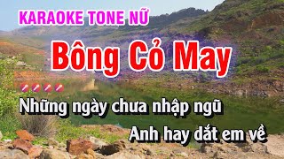 Bông Cỏ May Karaoke Nhạc Sống Tone Nữ | Kim Chi Karaoke