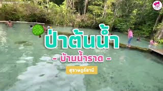 อันซีน ไทยแลนด์ ! ป่าต้นน้ำ บ้านน้ำราด ที่เที่ยวสุราษฎร์ธานี