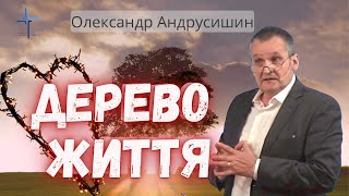 Найвища ступінь любові.  Олександр Андрусишин.  Християнські проповіді 3.07.2022