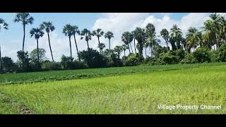 Ad:10 Farmland#7Acers#Cheyyur#ECR#VillagePropertyChannel#