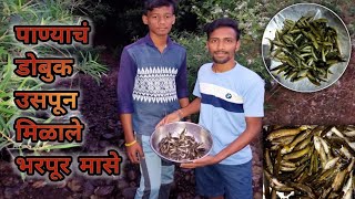 डोह उपसुन मिळाले भरपूर सारे मासे 🔥l🔥कोकणातील मासेमारी🔥|#video#viral#konkan#fishing#trending#youtube