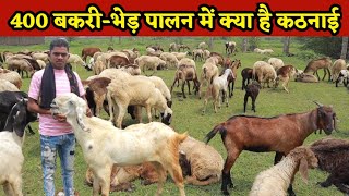 Goat \u0026 Sheep Farming chhattisgarh ।400 बकरी-भेड़ पालन में ये है कठनाई ।।