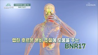 장내 유해균을 억제하고 다이어트에 도움 주는 ★BNR17★ TV CHOSUN 20220122 방송 | [글로벌 힐링 최고의 선택] 30회 | TV조선