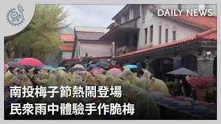 南投梅子節熱鬧登場 民眾雨中體驗手作脆梅｜每日熱點新聞｜原住民族電視台