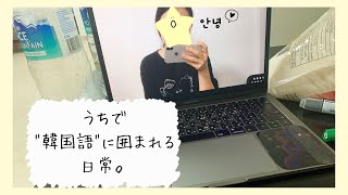 【vlog】🇸🇬で日本語教師。気づいたら韓国語とiPadばっかりの休日vlog。