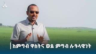 ኢትዮጵያ ምርት እና ምርታማነትን በማሳደግ በራስ አቅም ከምግብ ዋስትና ወደ ምግብ ሉዓላዊነት ለመሻገር እየሰራች ትገኛለች።