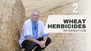 Herbicide 2 Timing in Wheat Farming: Atrazine, Metolachlor, and More