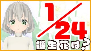 【花言葉】１月２４日の誕生花は？／花白もか