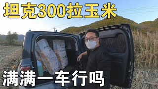 用坦克300去玉米地拉苞米，这种路况装了满满一车还能开的出去吗【环华行913】