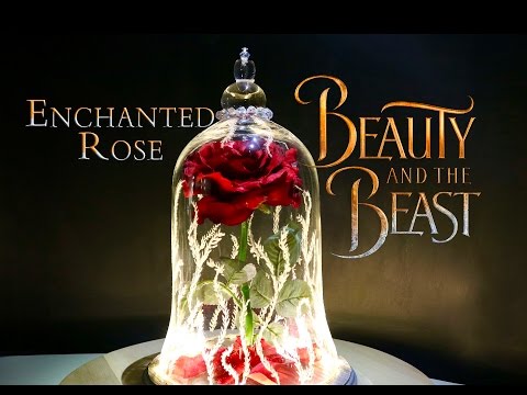 Enchanted Rose : DIY Movie Prop : Beauty and The Beast Live Action Movie Enchanted Rose : DIY Movie Prop : Beauty and The Beast Live Action Movie