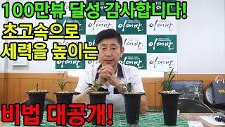 214편 지긋지긋한 下作 탈출 비책은^^ [춘란,풍란,약초,명장,다육,난초,주식,재테크 청년 창업,귀농, 실버]