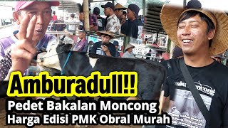 Harga Gulung Koming‼️Pedetan Bakalan Moncong Super Edisi Harga PMK | Pasar Sapi Jelok