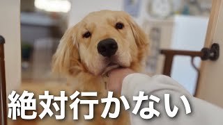 お風呂嫌いの愛犬