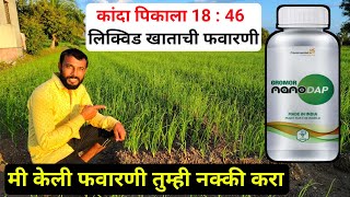 कांदा पिकाला 18:46 लिक्विड खाताची फवारणी फायदे | Gromor NANO DAP | कांदा दांड मान जाड | Nano Dap