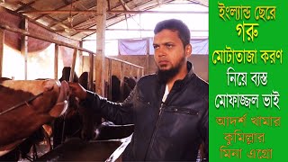 গরুর খামার করে সফলতা এত সহজ না, সফল হতে চাইলে দেখুন এই ভিডিও। মিনা এগ্রো কুমিল্লা।