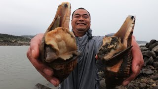 海边大风浪站都站不稳，比响螺还好吃的美味海货抓起来惊险又刺激