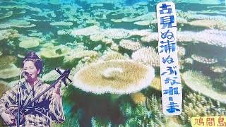 古見ぬ浦ぬぶなれ一ま・八重山民謡稽古参考音源・H7・7・22日・歌三味線・呉屋初美39歳ほか琴・1335