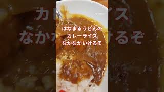 【はなまるうどん】期間限定メニューとカレーライス