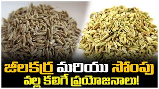 సోంపు మరియు జీలకర్ర వల్ల కలిగే ప్రయోజనాలు || Cumin Seeds And Fennel Seed || Gold Star Entertainment