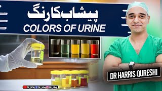 What The Color Of Your Urine Says About Your Health | پیشاب کا رنگ | Urdu - Hindi | Dr.Haris Qureshi