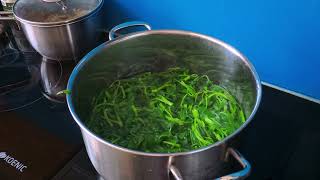 Cooking show: Family meal with crispy fried meat, stir-fried water spinach with garlic, bird eggs