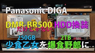 Panasonic DIGA DMR-BR500 HDD換装　250GBの少食乙女を2TBの爆食野郎に！　－ DIGA HDD交換 －