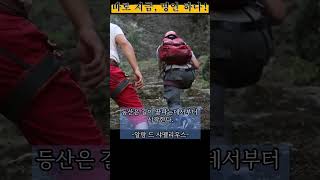 정상을 내려오고 나서야...  등산에 관한 명언,  바로 지금, 명언 하나!