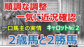 【一口馬主】２歳馬と２勝馬は順調に調整中