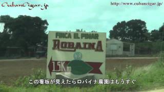 ロバイナ農園への道 (Vegas Robaina Farm)