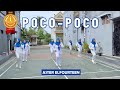 SENAM "POCO-POCO" | Aster Elfourteen | 2023