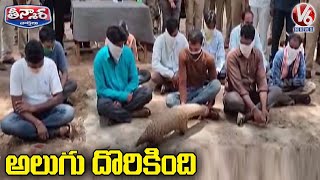 Alugu Animal Found At Komaram Bheem Forest | V6 Teenmaar News