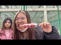 河北师范大学hebei normal university vlog 🏫🏫 study in china🇨🇳