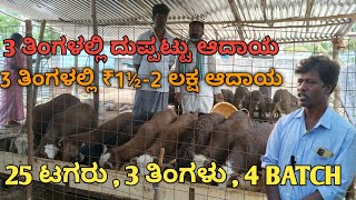 ಟಗರು ಸಾಕಾಣಿಕೆ ಸಂಪೂರ್ಣ ಮಾಹಿತಿ | 25 ಟಗರು , 4 BATCH ವರ್ಷಕ್ಕೆ 3-4 ಲಕ್ಷ ಆದಾಯ ಪಡೆಯುವ ರೈತ | TAGARU SAKANIKE