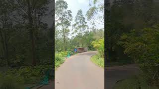 அனைவரும் சென்று பார்க்க வேண்டிய ஒரு மிகமுக்கியமான இடம்#trending #munnar