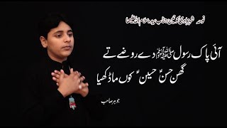 Aye Pak Rasool De Rozay Te | Ali Haider Jaffri  | New Noha Ayam e Syeda 2019 / 1440.