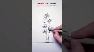 Drawing a Tree - Series 6 #shorts