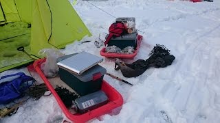 金山でワカサギ釣り。自己最高の３８００匹！２０１５．３．６