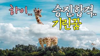 ☞【꿈보다해몽】합격,승진,행운의기린꿈입니다.재미로봐주세요~^^